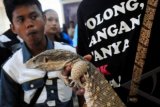 PECINTA REPTIL