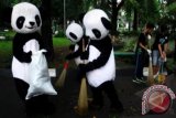 Ikon Panda WWF membersihkan Taman Dewi Sartika dalam kegiatan sosialisasi 'Bumi Panda', di Bandung, Jawa Barat, Minggu (12/1). WWF-Indonesia meluncurkan sebuah rumah informasi mengenai isu lingkungan hidup di kota Bandung yang diberi nama 'Bumi Panda'. ANTARA FOTO/Agus Bebeng