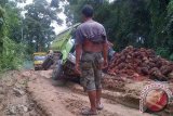 Sebuah Truk bernopol KB 9905 EB yang membawa 7 ton TBS terguling pada Rabu (15/1) sekitar pukul 11.30 WIB, di jalan rusak di wilayah Dusun Sunyat, Desa Sungai Ayak Dua, Kecamatan Belitang Hilir Sekadau. Akhirnya truk berhasil dilegakkan dengan bantuan warga dan para supir lainya sekitar pukul 12.45 WIB.
