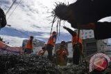 Anggota Semut Orange Community menunjukan paku hasil operasi mereka di Jakarta, Minggu (5/1). Komunitas itu berhasil mengumpulkan sekitar 700 kg ranjau paku yang diterbar di jalanan wilayah Jakarta Pusat selama dua tahun terakhir. ANTARA FOTO/Fanny Octavianus

