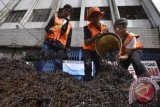 Anggota Semut Orange Community menunjukan paku hasil operasi mereka di Jakarta, Minggu (5/1). Komunitas itu berhasil mengumpulkan sekitar 700 kg ranjau paku yang diterbar di jalanan wilayah Jakarta Pusat selama dua tahun terakhir. ANTARA FOTO/Fanny Octavianus



