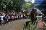 Sejumlah orang mengunjungi Kebun Binatang Ragunan, Jakarta Selatan, Rabu (1/1). Libur awal tahun baru 2014 dimanfaatkan warga untuk berwisata bersama keluarga. ANTARA FOTO/Andika Wahyu/pd/13.