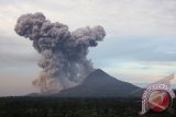 Gunung Sinabung menyemburkan debu vulkanik, tampak dari Bukit Gundaling, Brastagi, Karo, Sumut, Rabu (8/1). Sejak sepekan terakhir gunung tersebut menyemburkan debu vulkanik, menyebabakan sedikitnya 22.145 warga mengungsi. ANTARA FOTO/Irsan Mulyadi/nym/2014.