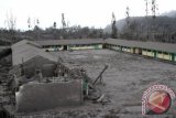 Kondisi gedung sekolah SMP 1 Namanteran yang rusak akibat hujan abu vulkanik erupsi Gunung Sinabung di Desa Sigarang Garang, Karo, Sumut, Sabtu (11/1). Akibat letusan Sinabung pada Jumat (10/1), membuat lima desa di sekitar Gunung Sinabung diselimuti abu, dan mengakibatkan puluhan rumah rusak. ANTARA FOTO/Rony Muharrman