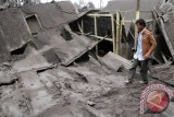 Warga melihat kondisi rumah yang rubuh akibat dampak abu vulkanik erupsi Gunung Sinabung di Desa Sigarang Garang, Karo, Sumut, Sabtu (11/1). Akibat letusan Sinabung pada Jumat (10/1), membuat lima desa di sekitar Gunung Sinabung diselimuti lumpur, dan mengakibatkan puluhan rumah rusak. ANTARA FOTO/Rony Muharrman