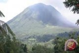 Tangkapan air gunung Mahawu tinggal 1.000 Hektare