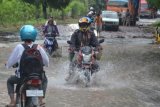 Situbondo (Antara Jatim) - Sejumlah pengendara sepeda motor melintasi material banjir di jalan raya Pantura Dusun Pecaron, Desa Klatakan Kecamatan Kendit, Situbondo, Jawa Timur, Sabtu (1/2). Jalan raya pantura Situbondo yang menghubungkan Surabaya - Banyuwangi lumpuh total mencapai puluhan kilometer akibat material banjir berupa lumpur, pasir, dan batu.  
ANTARA FOTO/Seno/14/SHP.