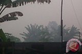 Kabut asap di Pontianak, Rabu (5/2) semakin tebal dan berbau tajam, sehingga membuat jarak pandang semakin dekat dan membuat risiko peningkatan penyakit saluran pernafasan (Ispa). Bagi warga yang mengendarai sepeda motor, selain menggunakan masker, juga harus berhati-hati denagn jarak pandang yang terbatsa itu. (Foto Atara Kalbar / Andilala)