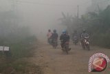 Kabut asap yang sedang melanda Kota Pontianak membuat jarak pandang pada Kamis (6/2), hanya 50-100 meter. Semakin tebalnya kabut asap, sehingga pengguna kendaraan bermotor harus menghidupkan lampu utama sebagai isyarat agar terlihat dari kejauhan pengendara lainnya. (Foto Antara Kalbar/Andilala)