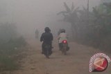 Kabut asap yang sedang melanda Kota Pontianak membuat jarak pandang pada Kamis (6/2), hanya 50-100 meter. Semakin tebalnya kabut asap, sehingga pengguna kendaraan bermotor harus menghidupkan lampu utama sebagai isyarat agar terlihat dari kejauhan pengendara lainnya. (Foto Antara Kalbar/Andilala)