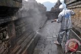 Pekerja Balai Konservasi Borobudur menyemprotkan air menggunakan mesin steam pada proses pembersihan abu vulkanik erupsi Gunung Kelud dengan sistem basah di Candi Borobudur, Magelang, Jateng, Sabtu (22/2). Proses pembersihan permukaan candi Borobudur telah mencapai 70 persen dan diperkirakan akan selesai empat hari lagi. ANTARA FOTO/Anis Efizudn/ss/mes/14
