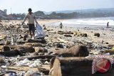 Sejumlah pemulung mengais sampah yang terdampar di Pantai Kedonganan, Badung, Bali, Selasa (4/2). Sampah tersebut berasal dari daerah lain yang terbawa arus laut akibat cuaca buruk akhir-akhir ini yang melanda pantai selatan Jawa, Bali, NTB dan NTT. FOTO ANTARA/Nyoman Budhiana/nym/2014.