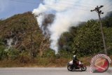 Sepeda motor melintas di depan kawasan hutan lindung yang terbakar, di desa Cot Kuala, Mane, Pidie, Aceh, Rabu (12/2). Sekitar ratusan hektar hutan lindung di Tangse dan Mane, terbakar, api diduga berasal dari sampah yang dibakar warga , hingga kini masih terdapat puluhan titik api yang belum bisa dipadamkan. ANTARA FOTO/Ampelsa/wra/14