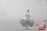 Seorang warga mengendarai sepeda saat melintasi Jalan dr Wahidin yang dipenuhi kabut asap tebal di Pontianak, Kalbar, Rabu (5/2). Badan Lingkungan Hidup Kota Pontianak menyatakan bahwa saat ini kualitas udara di Pontianak masuk dalam kategori tidak sehat akibat kabut asap dari pembakaran lahan yang terjadi di 49 titik di sejumlah kabupaten di Kalbar. ANTARA FOTO/Sheravim/wra/14