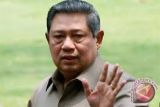 Presiden Kunjungi Peternak Sapi Tuban