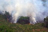 150 titik panas terpantau di Sumatera, empat titik di Sumbar