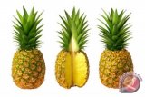GPPC Supplies 20 Pct World's Need For Canned Pineapples