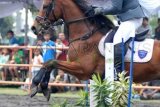 Mojokerto - (Antara Jatim) - Atlet Equestrian (Ketangkasan Kuda), Brigjend TNI (Mar) Ivan AR bersama kuda King Petra berusaha melewati halang rintang dalam  nomor Show Jumping Perorangan 30-50 cm dalam kejuaraan terbuka equestrian di Desa Jati Jejer, Trawas, Mojokerto, Jatim, Minggu (16/3). Kejuaraan Equestrian tersebut diikuti oleh tiga klub berkuda Jatim, 50 kuda yang mengikuti 20 nomer lomba. FOTO M Risyal Hidayat/14