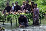 Sesepuh desa melarung buah durian saat dilangsungkan Tradisi Larung Durian di tengah sungai Kawung, Desa Sinduagung, Selomerto, Wonosobo, Jawa Tengah, Minggu (23/3). Tradisi melarung durian tersebut sebagai simbol membuang hal-hal buruk sekaligus wujud rasa syukur kepada Tuhan Yang Maha Esa atas panen durian yang melimpah. ANTARA FOTO/Anis Efizudin/ss/pd/14