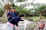 Wakil Wali Kota Singkawang Abdul Mutalib (berdiri) bersama jajarannya saat meninjau calon lokasi Bandara Kota Singkawang. (Hery Ristiawan-Humas Pemkot Singkawang)