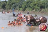 Masyarakat menaiki perahu tradisional getek dalam Bengawan Solo Getek Festival di Solo, Jateng, Minggu (9/3). Festival Getek Solo tersebut diikuti oleh 31 perahu getek hias yang menyusuri Sungai Bengawan Solo sejauh 3 Km. (ANTARA FOTO/Akbar Nugroho Gumay/wdy) 