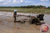 Seorang petani membajak sawah untuk persiapan musim tanam kedua di Desa Sarwogadung, Mirit, Kebumen, Jawa Tengah, Jum'at (25/4). Menteri Pertanian Suswono mengatakan pertanian menjadi salah satu sektor usaha yang kurang diminati investor, dimana sepanjang tahun 2009-2013 realisasi investasi domestik di sektor pertanian hanya Rp 37,7 triliun atau setara 9,6 persen dari total investasi di Indonesia. Sementara investasi asing hanya USD 5,38 miliar (5,7 persen). ANTARA FOTO/Indrianto Eko Suwarso/wdy/14