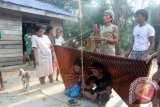 Sepasang calon mempelai, Suwan (kanan bawah) dan Sila (kiri bawah) dengan seorang Patih, Serunai (dua kanan) menjalankan salah satu proses hukuman adat di Suku Talang Mamak, di hutan Jambi, Kamis (17/4). Kedua mempelai melakukan pernikahan Sumbang karena keduanya merupakan sepupu dan mengalami hamil diluar nikah, sehingga harus melakukan hukum adat, tetapi jika proses hukum adat tidak direstui maka hukumannya adalah dibunuh. ANTARA FOTO/Regina Safri/wdy/14.