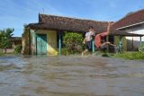 Madiun (Antara Jatim) - Sejumlah anak bermain air keruh luapan banjir di depan rumah warga di Kelurahan Kelun, Kota Madiun, Selasa (15/4). Anak-anak mamanfaatkan air luapan banjir untuk bermain akibat hujan deras yang terjadi sejak Senin (14/4)  malam hingga Selasa dini hari.  Sedikitnya 38 rumah warga, puluhan hektar sawah terendam, dan sejumlah ruas jalan terputus akibat genangan air, FOTO/ Siswowidodo/14/Oka.