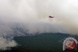 Helikopter jenis Sikorsky dari Badan Nasional Penanggulangan Bencana Nasional melakukan pengeboman air untuk memadamkan kebakaran di konsesi perusahaan hutan tanaman industri yang berbabatasan dengan Cagar Biosfer Giam Siak Kecil-Bukit Batu di Kabupaten Bengkalis, Riau, Selasa (1/4). Satgas Tanggap Darurat Asap Riau terus berupaya melakukan pemadaman kebakaran dan asap sesuai target dari Presiden Susilo Bambang Yudhoyono yang harus tuntas pada 4 April. ANTARA FOTO/FB Anggoro/wra/14.