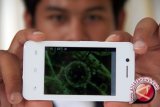 Dinkes: Belum Ada Warga Palu Terserang Virus Mers