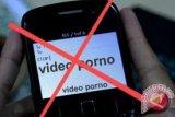 Kementerian Koinfo blokir seluruh akses konten pornografi