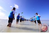 Ketua Umum Himpunan Alumni IPB Bambang Hendroyono beserta Pengurus DPP dan DPD HA-IPB melakukan penanaman Mangrove dan Gerakan Bersih Pantai di Pulau Pari, Kepulauan Seribu akhir pekan lalu.(Foto Ist: Andi Irman/HA-IPB/A)