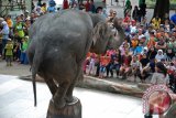 Pengunjung menyaksikan atraksi gajah di Taman Safari Indonesia, Cisarua, Bogor, Jabar, Kamis (29/5). Pada musim liburan pekan ini kunjungan wisatawan meningkat hingga dua kali lipat di kawasan wisata tersebut. ANTARA FOTO/Indrianto Eko Suwarso/Asf/Spt/14.