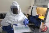 Sierra Leone Tutup Perbatasan untuk Hentikan Penyebaran Ebola