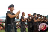 Tari Tortor semarakkan pembukaan  Festival Danau Toba