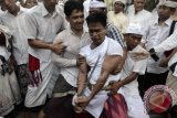 Seorang umat Hindu yang kesurupan menancapkan keris ke dadanya dalam tradisi "Ngerebong" di Pura Dalem Pengrebongan, Denpasar, Bali, Minggu (8/6). Ritual berkeliling Pura yang diwarnai puluhan umat kesurupan itu bermakna untuk menetralisir kekuatan negatif yang ada di alam. ANTARA FOTO/Wira Suryantala/wra/14.