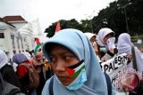 Solidaritas Untuk Palestina