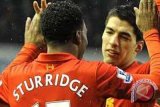 Sturridge Siap Berkiprah di Liverpool