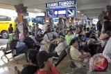 Ratusan pemudik menunggu saat keberangkatan di Terminal Ubung, Denpasar, Bali, Senin (14/7). Organisasi Angkutan Darat (Organda) Provinsi Bali telah menyiagakan 139 bus AKAP yang dibantu sejumlah armada angkutan dalam provinsi dan angkutan wisata untuk mengantisipasi lonjakan pemudik Idul Fitri 1453H. ANTARA FOTO/Nyoman Budhiana/nym/2014.