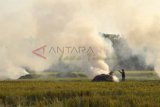 Madiun (Antara Jatim) - Petani membakar jerami pasca panen padi di persawahan Kelurahan Winongo, Kota Madiun, Selasa (1/7). Pembakaran jerami tersebut selain untuk membersihkan sawah juga memanfaatkan abu jerami untuk pupuk. FOTO Siswowidodo/14/Chan.