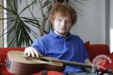 Ed Sheeran Bawa Pulang Penghargaan Brit Awards 