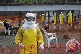 Ebola Masih Menyebar Di Sierra Leona Dan Guinea