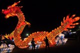 Pengunjung berfoto dengan latar belakang lampion naga pada Festival Lampion Suzhou, di Alun-alun Utara Keraton Kasunanan Solo, Jateng, Sabtu (30/7). Sebanyak sembilan lampion setinggi 12 meter dan berukuran sedang dengan replika Naga, Taj Mahal, Kapal, Shio ditampilkan dalam kegiatan Festival Lampion Suzhou yang diselenggarakan dari tanggal 29 Agustus hingga 21 September mendatang. ANTARA FOTO/ Aloysius Jarot Nugroho/ed/mes/14