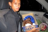 Petugas Orangutan Information Centre (IOC) memegang kotak berisi bayi orangutan yang disita, ketika akan dibawa dari Gayo Lues, Aceh menuju pusat karantina Batu Mbelin, Deli Serdang, Sumut, Rabu (6/8). Bayi orangutan berumur 10 bulan dengan kondisi sakit tersebut, disita dari seorang warga di desa Pepelah, Kecamatan Pining, Kabupaten Gayo Lues, Aceh. ANTARA FOTO/Ricko-IOC/IM/ed/mes/14