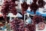 Pengunjung memperhatikan buah anggur yang dijual pedagang di Pasar Tradisional Peunayung, Banda Aceh, Senin (15/9). Pedagang buah menyatakan permintaan buah impor meningkat, termasuk buah anggur karena persediaan  buah lokal menurun dratis, sementara harga buah anggur Rp50.000 hingga Rp65.000 per-kilogram. ANTARAACEH.COM/Ampelsa/14