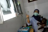 Dokter hewan, Yenny sambil menggendong, menjelaskan kondisi kesehatan bayi orangutan, Bintang (10 bulan) di klinik Yayasan Ekosistem Lestari (YEL), Kabupaten Deli Serdang, Medan, Kamis (11/9). Bayi orangutan tersebut didapat dari Dinas Kehutanan Blangkejeren, Aceh satu bulan yang lalu dalam kondisi mengenaskan, yaitu penuh luka di kepala, patah tulang di bahu dan rahang sebelah kanan, serta paru - paru yang penuh nanah, dan diperkirakan induknya pun mati dibunuh. ANTARA FOTO/Regina Safri/ed/ama/14.