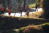 Pasuruan (Antara Jatim) - Puluhan peserta lari Bromo Marathon melintas di jalan Desa Wonokitri, Kecamatan Tosari, Pasuruan, Jatim, Minggu (7/9). Lari Bromo Marathon yang di gelar untuk kedua kalinya tersebut dibagi dalam tiga kelas yaitu Ten K, Half Marthon, dan Full Marthon serta  di ikuti oleh 1602 peserta dari 40 Negara sebagai media publikasi untuk wisata Gunung Bromo, dari jalur Kabupaten Pasuruan. FOTO Adhitya Hendra/14/Chan.