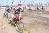 Pamekasan (Antara Jatim)-Sejumlah crosser beradu cepat dalam Grand Final Kejurnas Motorcross seri IX, di sirkuit  Desa Dasok, Pademawu, Pamekasan, Minggu (21/9). Sebanyak empat kelas diantaranya Kelas MX 2, MX2 Junior, SE 85 CC dan SE 65 CC dalam diperlombakan dalam kejurnas tersebut, namun hingga batas waktu yang ditentukan panitia belum merilis daftar juara dari masing-masing kelas karena terkendala teknis.  FOTO Saiful Bahri/14/Chan.