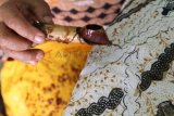 Tulungagung (Antara Jatim) - Seorang perajin batik tulis di Kecamatan Kauman, Kabupaten Tulungagung, Jumat (12/9) sedang membatik di atas selembar kain yang telah diberi motif. Jumlah perajin tulis di daerah ini terus menyusut seiring banyaknya pilihan pekerjaan dengan insentif lebih besar, salah satunya menjadi TKI di luar negeri. (Foto Destyan Sujarwoko/14/edy)