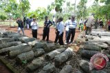 Disbud Gunung Kidul perluas lahan situs Sokoliman 